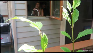 Video 635369145: nikki sims, next door tits, tit ties bouncing, fucking behind