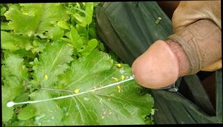 Video 1604734111: hairy boy gay sex, hairy boy cum, hairy cock boys, hairy dick boys, hairy boy masturbating, hairy big cock cum, black hairy gay dicks, hairy hunk gay, hairy masturbation orgasm, hairy indian boy, boy hot hairy, hard hairy cock, handjob hairy, hairy desi indian, desi closeup, first time hairy, hairy outdoor, hd hairy