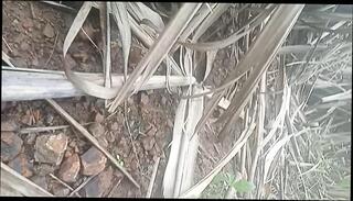 Video 1584715551: vintage bisexual, bisexual girls fucking, vintage hardcore fucking, vintage teen fuck, vintage tit fuck, teen bisexual sex, indian vintage sex, bisexual pussy, straight bisexual, 18 year old bisexual, outdoor bisexual, rough bisexual, bisexual asian, bisexual hd, girl fucks tight pussy, pussy titty fucked, girl fuck teen desi, tit tied teen fucked