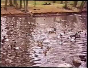 Video 1588077541: vintage retro porn, vintage hardcore retro, american porn vintage, vintage pornstar, vintage straight, vintage usa, vintage love, hard vintage