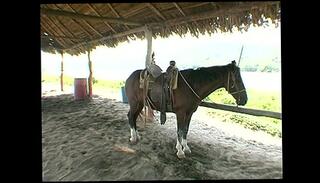 Video 32771255: double penetration facial cumshot, double penetration anal sex, double penetration anal group, double penetrated blowjob, double penetration outdoors, beach dp