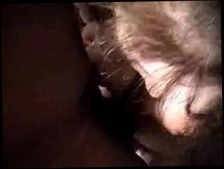 Video 7436101: bbw bbc amateur, ebony bbw bbc, black bbw bbc, bbc talking nasty, straight bbc, bbc play