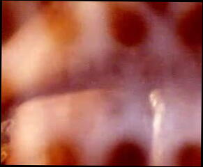 Video 11027001: amateur bbw big ass, big ass ebony bbw, big black bbw ass, big ass straight, ass rode