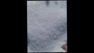 Video 1577716503: fetish solo, amateur solo male, public ball