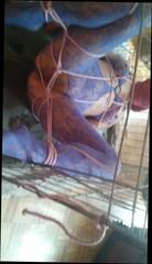 Video 151441001: amateur bdsm, straight bdsm, pretty bdsm, little bdsm, hd bdsm