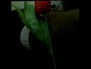 Video 819311003: fetish small titted, fetish webcam, fetish masturbation, amateur fetish, ebony fetish, mature fetish, romantic masturbation