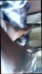 Video 355093001: ebony shemale pov, black shemale pov, love pov, crossdresser