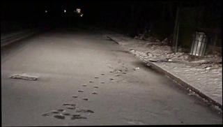 Video 1531905701: virgin crossdresser, virgin gay, virgin amateur, fat virgin, crossdresser outdoor, virgin hd