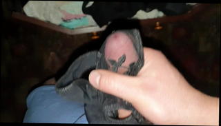 Video 1561514601: masturbate gay bareback, bareback amateur gay, handjob bareback, panties bareback, bareback hd, horny dick, horny precum, polish handjob, boner dick, very horny