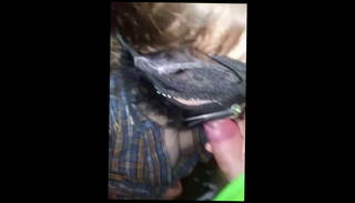 Video 1585595191: milf blowjob hd, straight milf, milf neighbor, milf friend, blowing neighbor