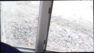 Video 1567493421: turkish strapon, straight turkish