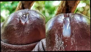 Video 1517433703: dick solo masturbating cumming, solo masturbation moaning, solo male masturbation cumshot, horny amateur solo, solo big dick cumshot, solo guy moaning, dripping solo, solo play cumming, solo masturbation extreme, cum close solo, horny solo mature, wet solo masturbation, amateur solo hd, solo natural, dick dripping precum, moans fill