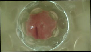 Video 436339545: cum inside fleshlight, cock fleshlight, gay fleshlight