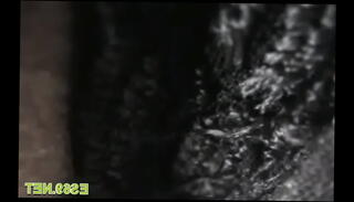 Video 1493116805: ass worship humiliation, fetish ass worship, wet twat drilled, twat drilled deep, deep inside wet twat