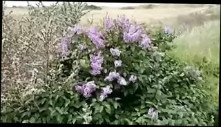 Video 326082001: bbw hardcore, bbw date, public nudity, straight hardcore