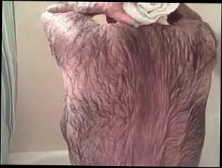 Video 373219001: gay hairy daddy, hairy gay porn, hairy daddy bear, very hairy gay, hairy shower