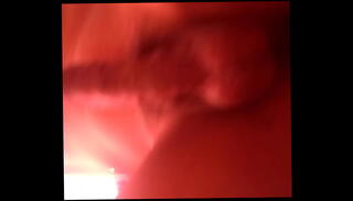 Video 838400205: shemale trans, gay trans, travesti