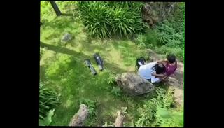 Video 1662961395: camera caught, teen latin transsexual, man woman shemale, latin shemale blowjob, petite teen shemale, thick latin shemale, latino shemale