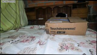 Video 1654728231: sex toys gay porn, gay anal sex toy, homemade anal sex porn, amateur homemade sex porn, sex toys cock, sex hd porn, very sex, peruvian amateur