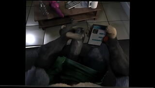 Video 1377969035: gay furry, gay pmv, faggot