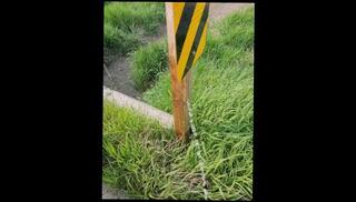 Video 1596193203: pissing pee compilation, pissing peeing fetish, solo pee fetish, pissing amateur compilation, pee pissing outdoor, public pissing compilation, solo male piss, amateur solo sexy, pissing porno, sexy solo guy, czech piss, hot piss