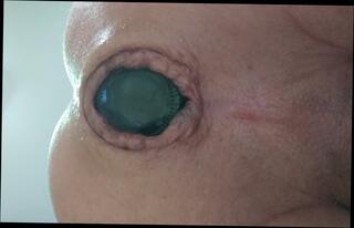 Video 1612667991: dildo ass hole gape, plug gaping ass, femboy gaping ass, crossdresser dildo ass, plug anal gaping, anal plug huge dildo, dildo gape fist, gaping ass barebacked, crossdresser femboy cum, gay femboys crossdressing, bdsm anal slave, crossdresser dildo masturbation, bdsm sex slave, gaping ass hole stretched, gaping ass hole close, ass gaping european, anal gape hd, german sex slave, gapes shaved, ass juice