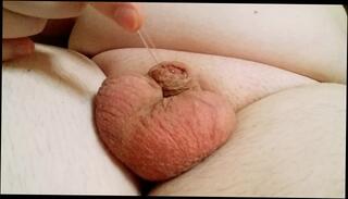 Video 1445705203: chubby webcam solo, chubby gay solo, fetish gay solo, chubby male solo, chubby gay amateur, penis cage, chubby small cock, dripping solo, soft chubby, chubby belly, fetish training, cock clean