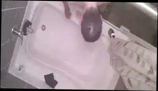 Video 1160340601: big ass anal dildo, cock dildos ass, dildo big ass masturbation, dildo gay ass, amateur dildo ass, dildo blowjob anal, bathroom dildo masturbation, dildo ass mouth, dildo handjob, friend dildo, latino dildo, good dildo, old dildo, young dildo