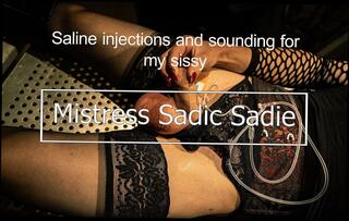Video 1665373011: cbt femdom bdsm mistress, bdsm bondage slave femdom, crossdresser sissy slave, crossdresser sissy sounding urethral, femdom cbt ball, sissy slave cock, amateur sissy crossdresser, mature crossdressers sissys, sissy penis, straight sissy, dutch sissy, red sissy, doctors clinic, doctor medical, slave hd