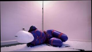 Video 1654276473: bdsm rope bondage, bondage amateur bdsm, amateur crossdresser solo, asian rope bondage, solo amateur trans, tits amateur solo, gagged small tits, petite solo amateur, gagged masked