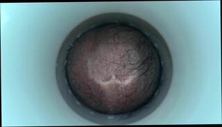 Video 355552801: cock inspection, gay big cock cum, big cock amateur cums, cam big cock, gay man big cock, big cock hd