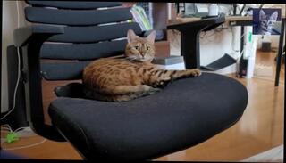 Video 1580676033: uncensored hentai compilation, lesbian squirt compilation, lesbian pussy licking compilation, hentai uncensored sex, squirt cum compilation, softcore lesbian sex, amateur squirting compilation, japanese uncensored hentai, asian squirt compilation, cum inside pussy compilation, cum pmv compilation, cute lesbians licking, woman porn, sexy pussy, soft woman, romantic woman