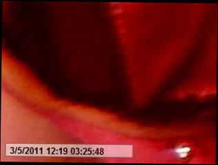 Video 23941701: panties gay porn