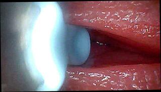 Video 1654936831: bdsm pov sex, cbt bdsm, cock pov homemade amateur, homemade pov deep throat, cumshot pov homemade, sexy amateur pov, hot pov deep throat, bdsm sperm, hd pov deep throat, bdsm teacher, pov ejaculation, bdsm sexual, pov cumshot close, japanese bdsm sex, female pov cumshot, straight bdsm, cbt fantasy, penis sperm, funny sexy homemade, sperm inside, croatian cock, penises