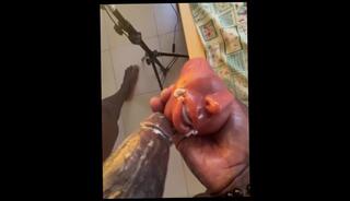 Video 1619816373: pov fuck bbc, bbc solo male cumshot, bbc solo cum, solo bbc masturbation, oiled pov dick, oiled pov cock, huge bbc solo, solo masturbation sex toys, fucks bbc monster cock, bbc throat fuck, bbc black cock fuck, bbc big dick fucking, bbc fucks amateur, fucks massive bbc, fucks thick bbc, bbc fucks college, bbc fast
