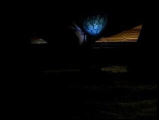 Video 205005801: dildo ass pussy, pussy loves dildo, man gay