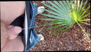 Video 1473638405: tiny piss, small penis pissing, pissing outdoors, pee