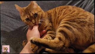 Video 1581817373: bukkake creampie, creampie solo, creampie amateur cumshot blowjob, creampie amateur blowjob hardcore, creampie cum inside pussy, creampie pussy licking, creampie sucking dick, babe pussy creampied, sex pussy creampie, creampie sweet pussy, pussy creampie eating, rough pussy creampie, japanese bukkake cum, porn solo male, women creampie, creampie red head, bed creampie, creampie sharing, good sucking