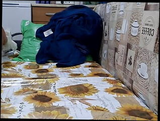 Video 1601913881: solo hairy masturbation, hairy cock solo, hairy solo gay, hairy guy solo, cumshot masturbation gay solo, solo guy jerks cock, big cock solo jerk, solo amateur jerking, homemade masturbation solo, hairy straight gay, solo male masturbation, fat cock solo, solo masturbation hd, beard solo, hairy romanian, jerking cuming