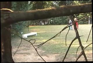 Video 115734804: shemale fucks guy interracial, interracial outdoor fucking, public park fuck