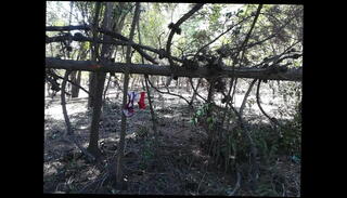 Video 1493469001: crossdresser milking, crossdresser anal masturbation, crossdresser bitch, crossdresser ass, amateur crossdresser, gay crossdresser, thick crossdresser, crossdresser eats, crossdresser love, ass anal hd