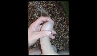 Video 1573216833: solo male piss, pissing big gay dick, solo male cumshots gay, pissing gay sexy, solo handjob cumshot, amateur solo sexy, pissing public gay, pissing outside gay, pissing hot gay, nice piss, piss play