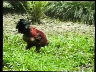 Video 1602300751: ass rammed shemale, sexy hot shemale masturbating, sexy shemale cumshot, sexy shemale anal, big tits shemale anal, sexy shemale blowjob, rams guy's ass, shemale masturbating outdoor, american hot sexy