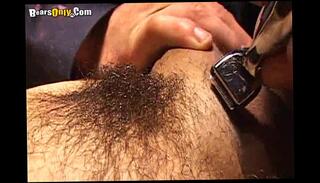 Video 115358545: hairy stud, hairy anal gay, hairy gay bear, hairy bear blowjob, older hairy gay, hairy mature anal, hairy shaved, gay oral anal