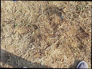 Video 1595091761: sissy crossdresser tiny cock, sissy crossdresser piss, crossdresser femboy sissy, twink sissy femboy, tiny gay twink dick, twink gay boys pissing, tiny dick humiliation, tiny penis humiliation, crossdresser femboy cum, small penis humiliation sissy, twinks gay young piss, gay twink pee, amateur sissy crossdresser, pee pissing outdoor, sissy public humiliation, asian sissy femboy, piss cum gay men, black gay boys humiliate, pissing toilet gay, indian boy pissing, black gay man pissing, gay twink hd, tiny love, desi pissing