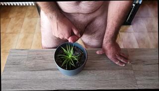 Video 1581708461: gay uncut boys pissing, solo uncut cock masturbating, fetish gay solo masturbation, uncut dick piss, amateur piss fetish, piss joi, gay boy piss cum, cumshot masturbation gay solo, piss men boys gay, boys pissing public gay, big uncut dick cum, piss gay daddies, solo boy handjob, piss sperm, pee sperm, uncut daddy bear, gay man pissing, fetish gay lovers, solo masturbation hd, piss family, italian pissing