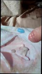 Video 330106601: cock big cum masturbation, gay masturbation cum, cum inside pussy, cum hd