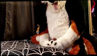 Video 1599110063: foot fetish solo, orgasm foot fetish, foot fetish masturbation, foot fetish toy, foot fetish cum, dick foot fetish, foot fetish cock, amateur foot fetish, cosplay foot fetish, foot job fetish, male foot fetish, furry fetish, foot fetish big, foot humping, puppy fetish, horny humping, masturbation desperate, horny dog