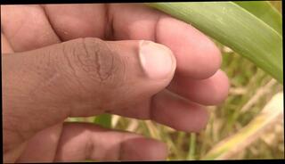 Video 1570624863: solo amateur masturbation, solo male masturbation, cute amateur solo, indian male solo