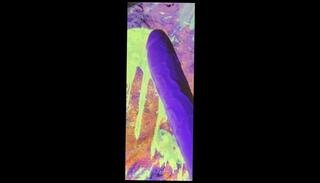 Video 1612303903: dick rambone, dildo toys solo girl, dildo toy fetish cock, sex dildo toys solo, solo dildo masturbation, solo amateur dildoing, pink dildo solo, solo huge dildo, solo female dildo, big dildo solo, big dick solo jerk, solo masturbation moaning, solo masturbation handjob, huge monster toy dildo, sounding dildo toy, solo dick stroking, masturbation hand fetish, wet solo masturbation, hand job dildo, dildo virtual